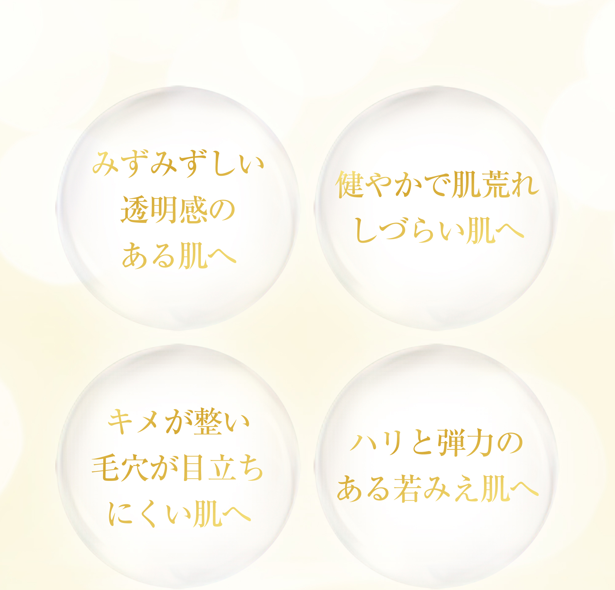 みずみずしい透明感のある肌へ 健やかで肌荒れしづらい肌へ キメが整い毛穴が目立ちにくい肌へ ハリと弾力のある若みえ肌へ