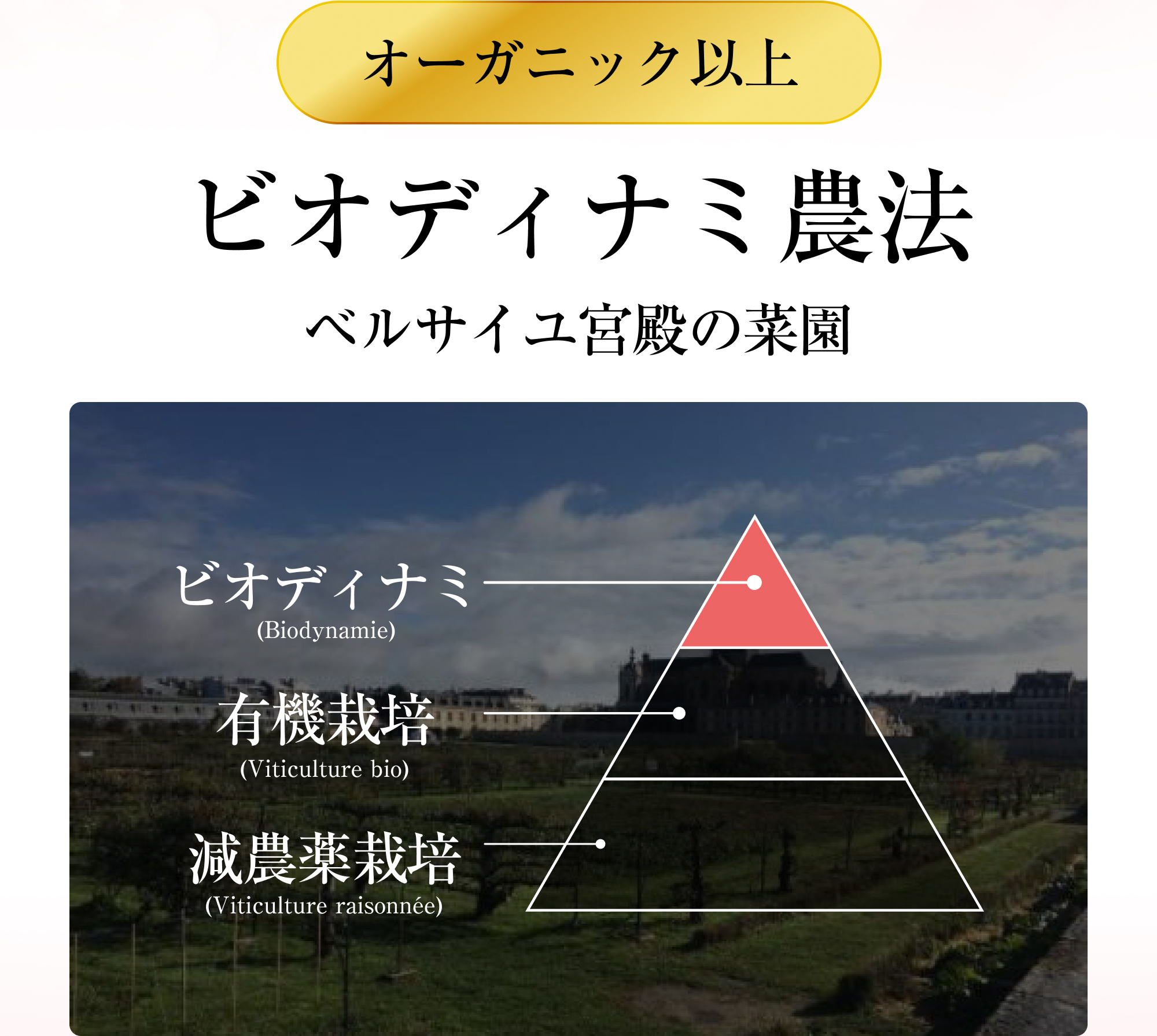 オーガニック以上 ビオディナミ農法 ベルサイユ宮殿の菜園 ビオディナミ(Biodynamie)＞有機栽培(Viticulture bio)＞減農薬栽培(Viticulture raisonnée)