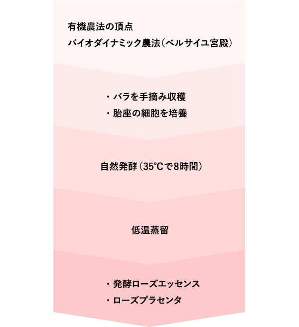 発酵プロセス