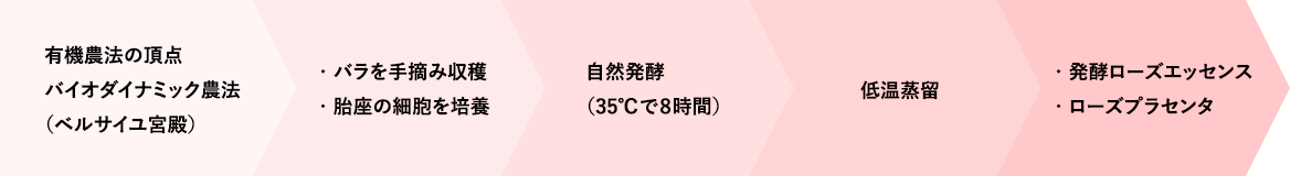 発酵プロセス