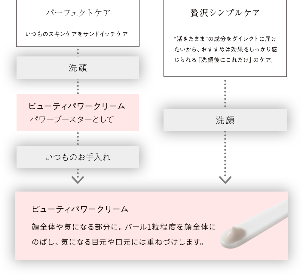 スキンケア | フェムテック・フェムケアなら The LADY.