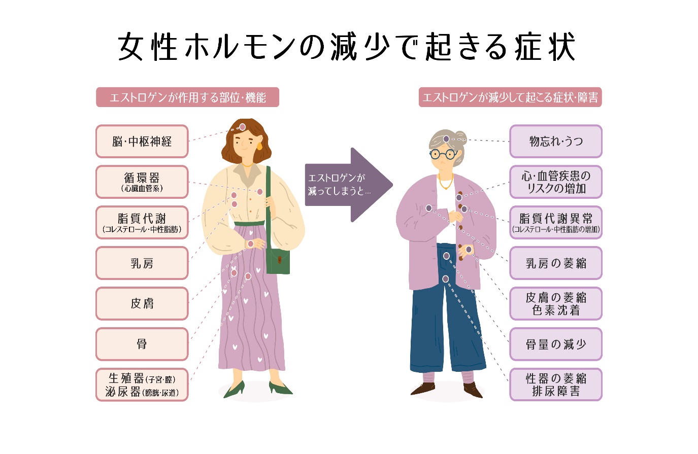 女性ホルモンの減少で起こる症状