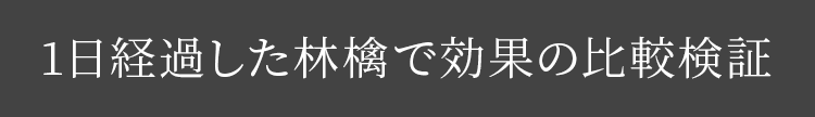 1日経過した林檎で効果の比較検証