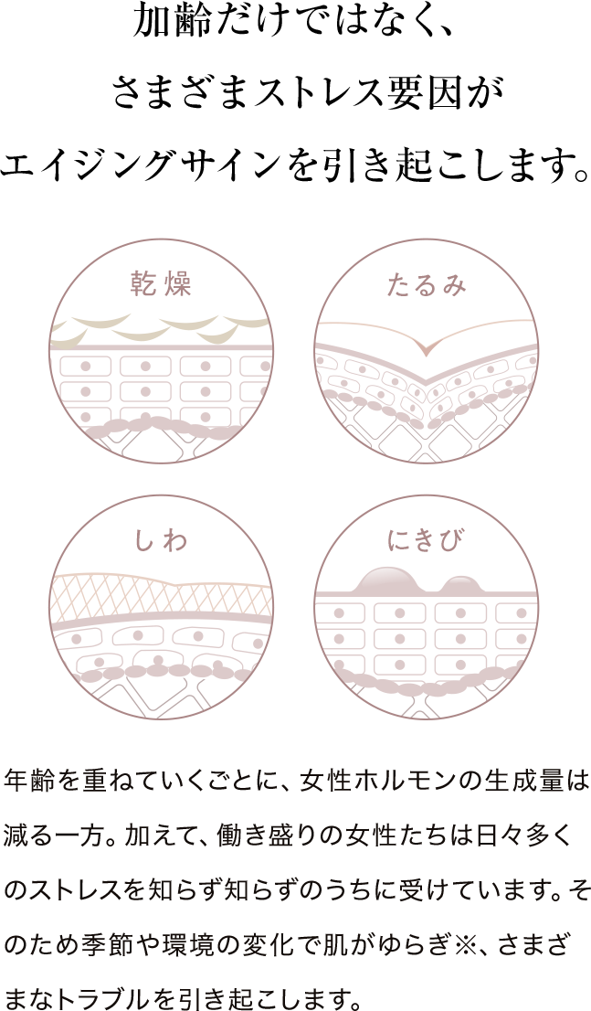 加齢だけではなく、さまざまストレス要因がエイジングサインを引き起こします。