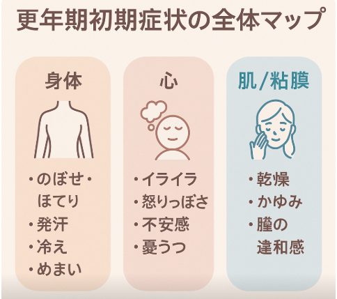 更年期初期症状の全体マップ