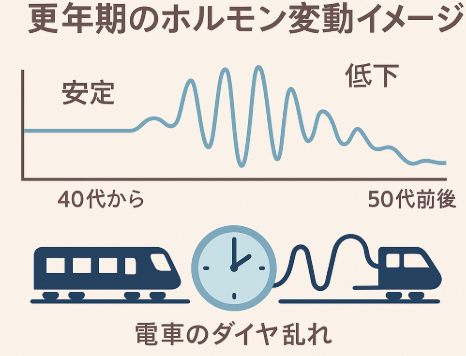 更年期のホルモン変動イメージ